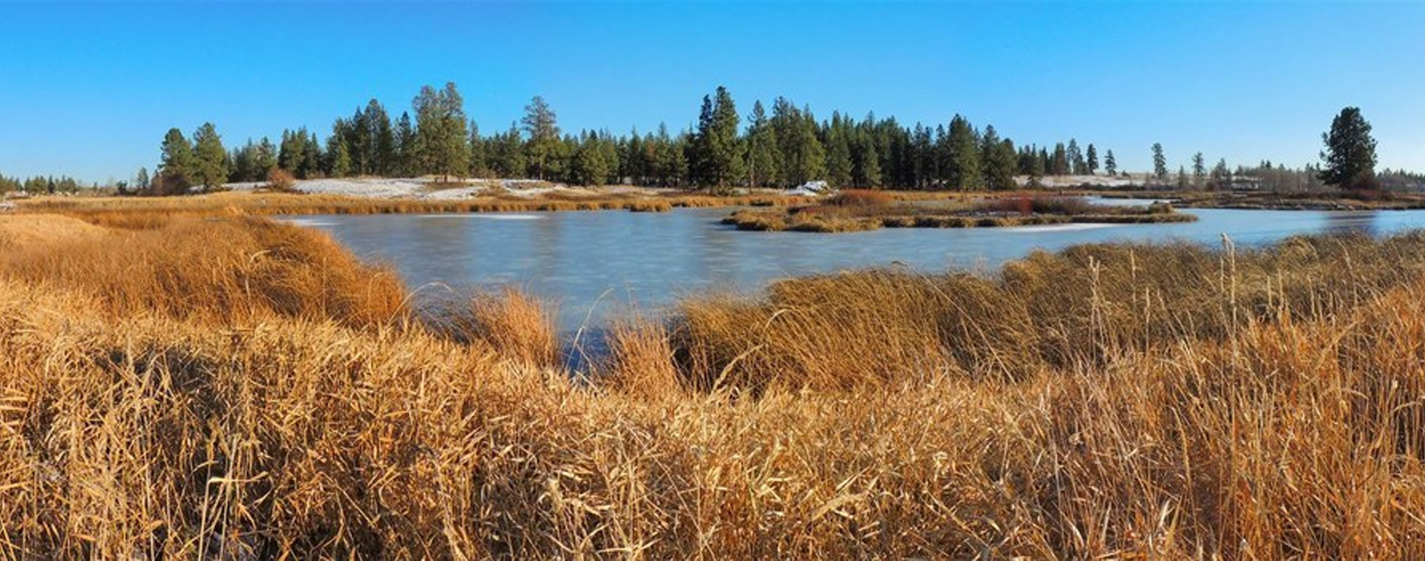 Cheney Web Design and Marketing: Turnbull National Wildlife Refuge, a serene and iconic natural landmark.