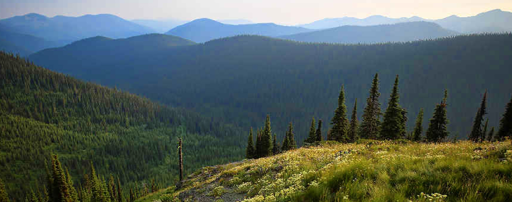 Colville Web Design and Marketing – Salmo-Priest Wilderness Area.
