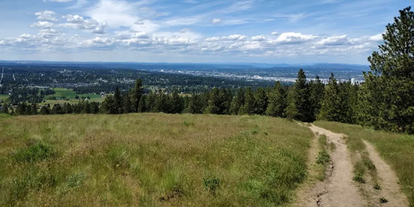 Spokane Valley Web Design and Marketing drawing inspiration from Dishman Hills’ natural beauty.