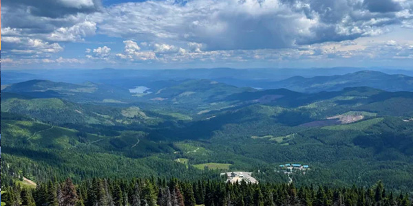 Washington Web Design and Marketing showcasing the vibrant greenery of Mount Spokane in summer.